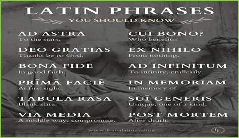 A Profile Of A Latin Beauty